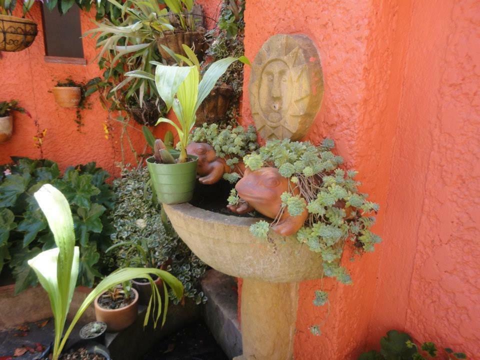 Hostal Del Carmen 莱瓦镇 外观 照片